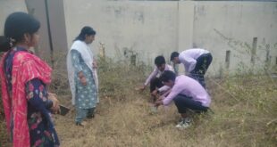 संघटक राजकीय महाविद्यालय सहसवान में औषधीय पौधों को रोपा