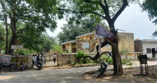 अचानक नीम का पेड़ गिरने से राहगीर बाल – बाल बचे