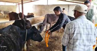 नोडल अधिकारी ने किया गौशाला का निरीक्षण