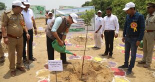 विश्व पर्यावरण दिवस पर केवीसी उझानी में गोष्ठी व वृक्षारोपण