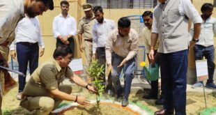 तहसील परिसर में पौधारोपड़ किया।