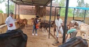 सीएम के निर्देश पर जनपद में चलाया गया विशेष सफाई अभियान