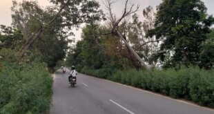 आसफपुर से चंदौसी मार्ग पर विद्युत पोल क्षतिग्रस्त , अनहोनी घटना की आशंका