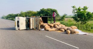 मक्का से लदी पिकअप का टायर फटा, हाईवे पर पलटी गाड़ी