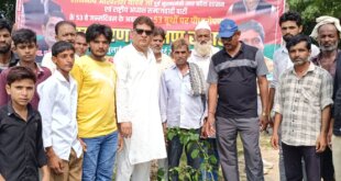 अखिलेश यादव के 53वें जन्मदिन पर अनोखी पहल! ​बदायूं में फखरे अहमद शोबी ने 53 स्थानों पर करेंगे वृक्षारोपण।