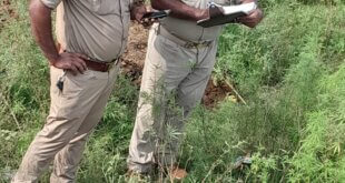 रेलवे लाइन किनारे मिला मजदूर का शव, पुलिस ने शुरू की जांच