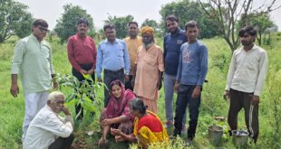 भाजपा नेत्री ममता शाक्य ने ‘एक पेड़ मां के नाम’ अभियान के अंतर्गत किया वृक्षारोपण।