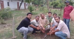 वातावरण को दूषित होने से बचाने के लिए अधिक से अधिक करें पौधारोपण -ओ पी सागर