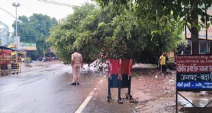 भारी बारिश में हाईवे पर गिरा पाकड़ का पेड़, यातायात बाधित, बिजली आपूर्ति प्रभावित