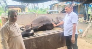 आरोपी को छोड़ने पर प्रधान में भारी आक्रोश