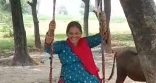 हरियाली तीज पर महिलाओं ने की शिव-पार्वती की पूजा, झूलों का उठाया आनंद
