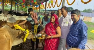 जन्माष्टमी पर अस्थाई गौ आश्रय स्थल में श्रद्धा के साथ हुआ गौ पूजन