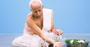 सनातन संस्था द्वारा प्रस्तुत पितृपक्ष विशेष लेख*