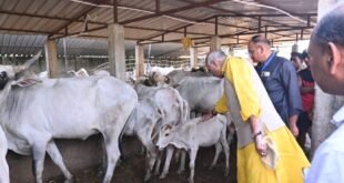 गोवंशों की मौत के बाद पशुधन मंत्री ने आश्रय स्थलों का निरीक्षण किया